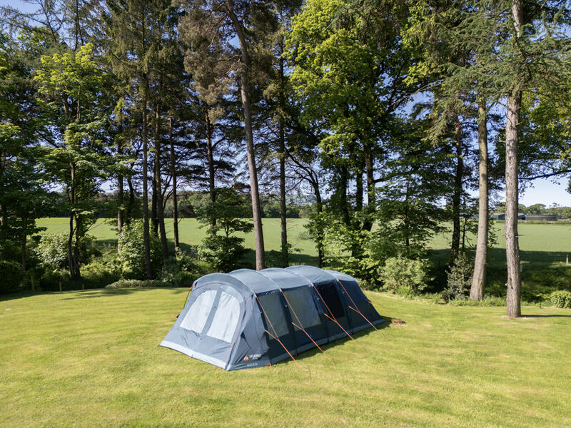 Vango Savannah 600XL Tent Package FREE Footprint